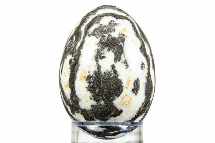 Colorful Polished Zebra Marble Egg - Utah #308859